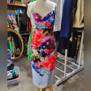 Ted Baker London Sew in Love Bodycon Bloom Midi Dress